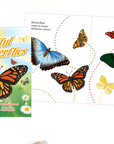 Beautiful Butterflies Children's Book