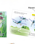 Dragonfly Explores Children's Book